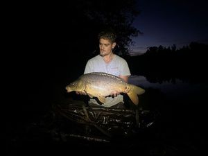 Mirror Carp