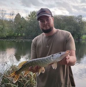 Northern Pike