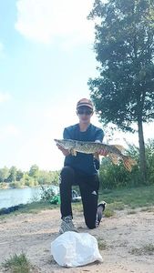Northern Pike