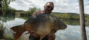 Mirror Carp