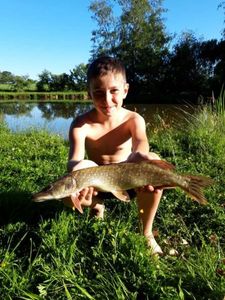 Northern Pike