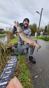 Northern Pike