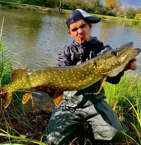 Northern Pike
