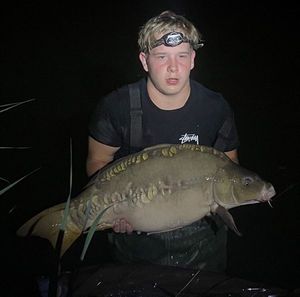 Mirror Carp