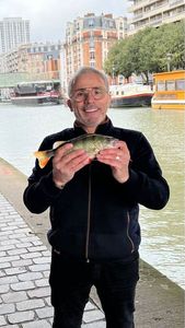 European Perch