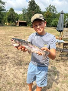 Brook Trout