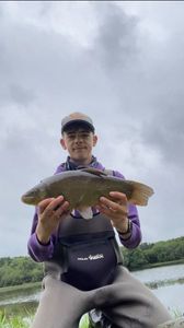 Tench