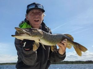 Northern Pike
