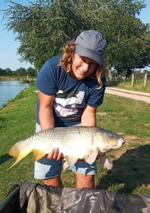Common Carp