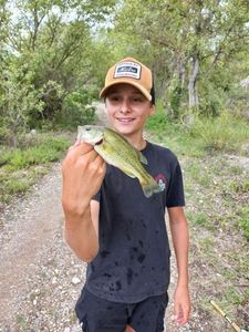 Largemouth Bass
