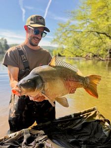 Mirror Carp