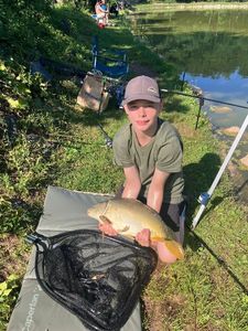 Common Carp