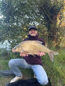 Common Bream