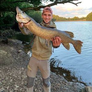 Northern Pike