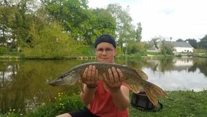 Northern Pike