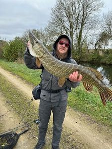 Northern Pike