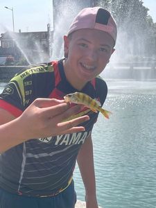 Yellow Perch