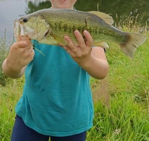 Largemouth Bass