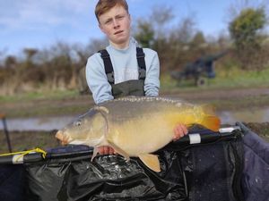 Mirror Carp