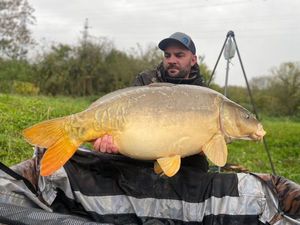 Mirror Carp