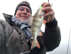 European Perch
