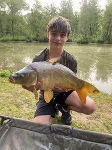 Mirror Carp
