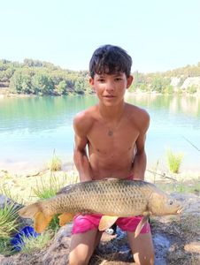 Common Carp