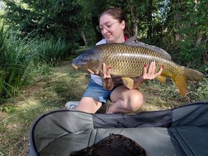 Common Carp