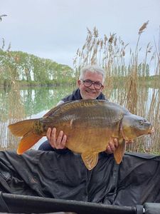 Mirror Carp