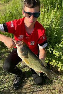 Largemouth Bass
