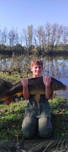 Common Carp
