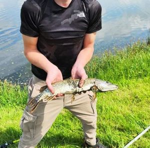 Northern Pike