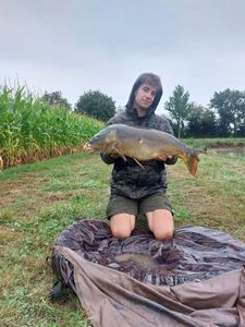 Mirror Carp