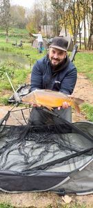 Mirror Carp