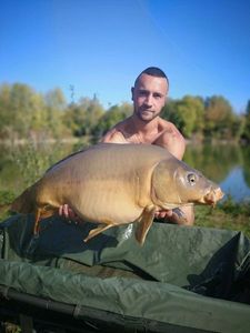 Mirror Carp
