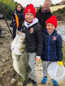 European Bass (Seabass)