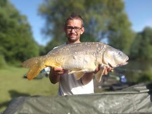 Mirror Carp