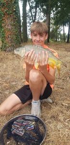 Mirror Carp