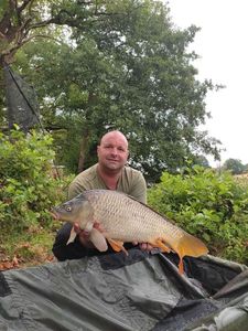 Common Carp