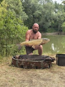 Grass Carp