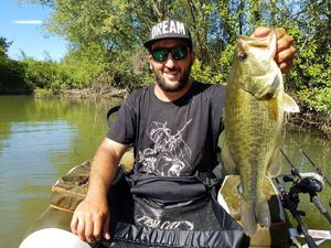 Largemouth Bass
