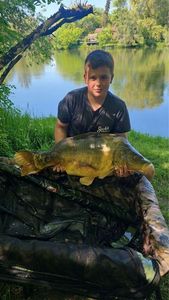Mirror Carp