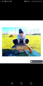 Mirror Carp