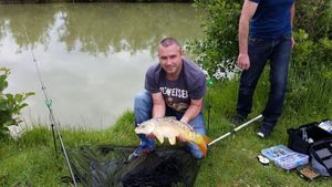Mirror Carp