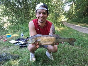 Zander
