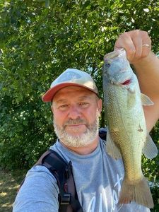 Largemouth Bass
