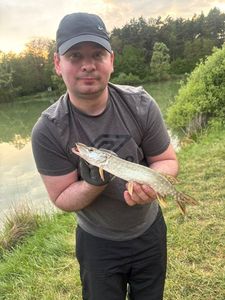 Northern Pike