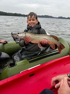 Northern Pike