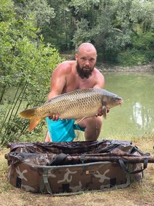 Common Carp