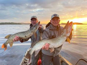 Northern Pike